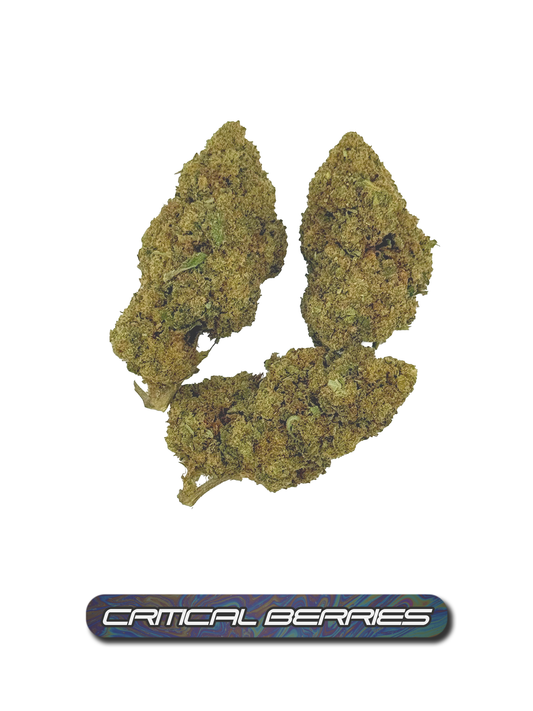 Critical Berries Hemp Flower – Imported from Beleafer