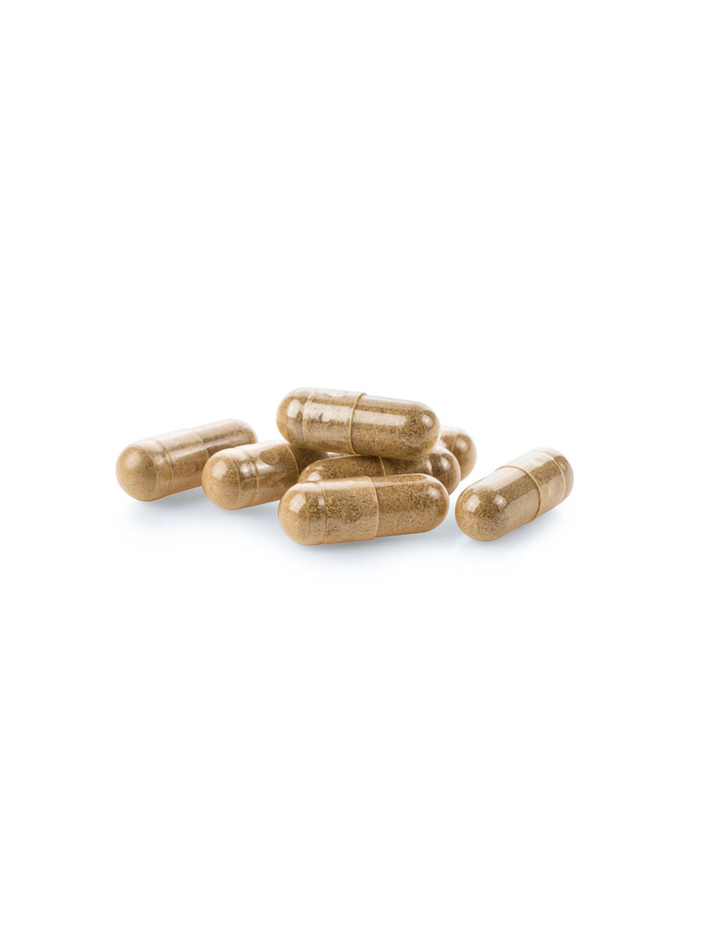 Energise - Cordyceps Supplement